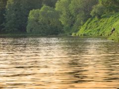 24 мая - Мокий Мокрый