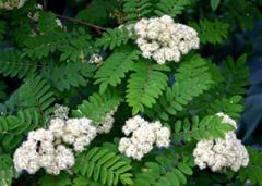 29 мая - Федор Житник