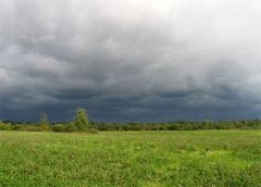 16 июня -  Лукьян Ветряк